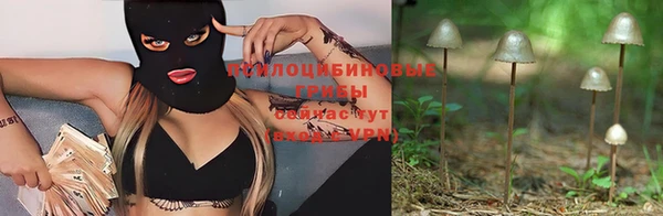 крисы Навашино