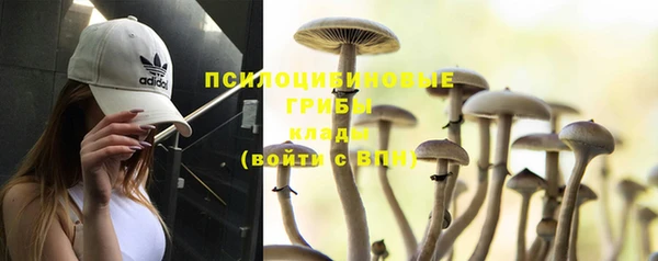 прущая мука Костерёво
