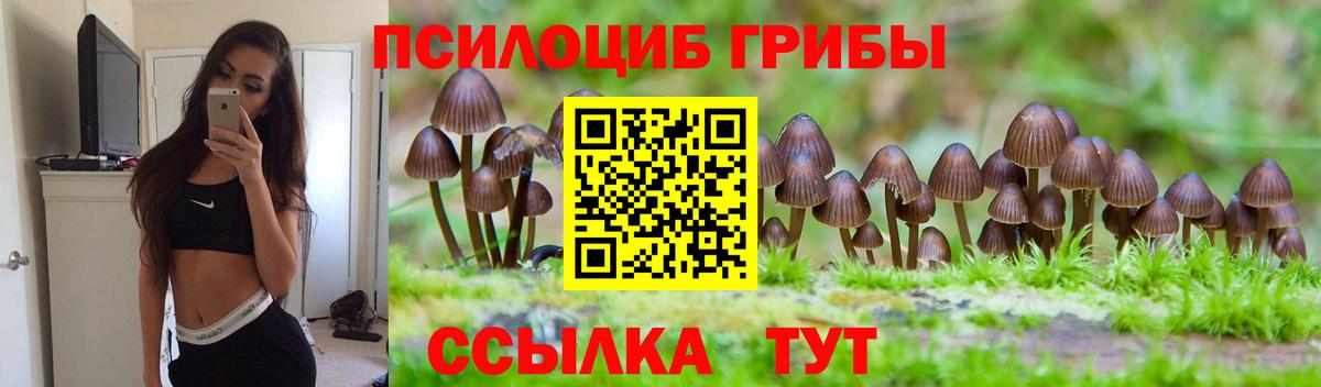 Галлюциногенные грибы прущие грибы Тейково